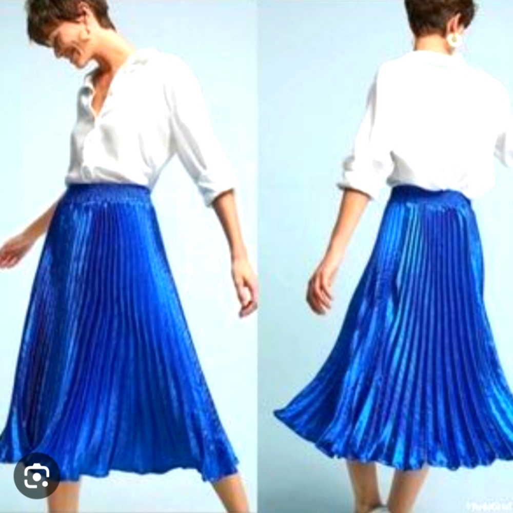 NWOT Anthropologie HD in Paris Gemma Pleated Skirt